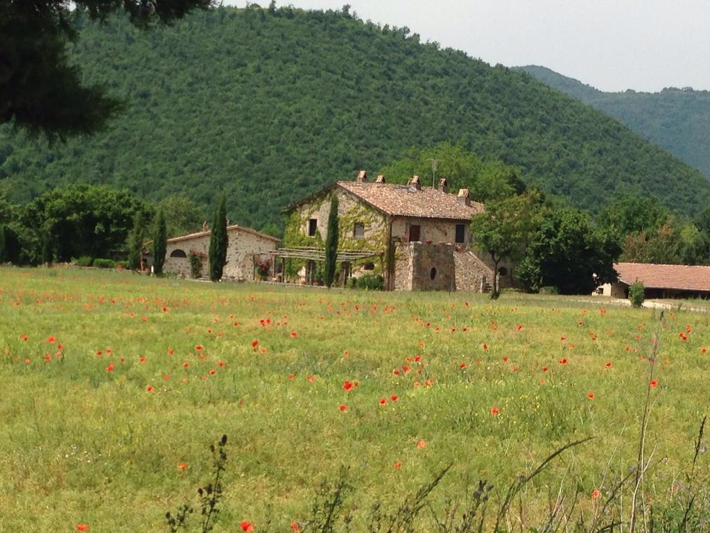 Agriturismo Cardito Santa Rufina Zewnętrze zdjęcie