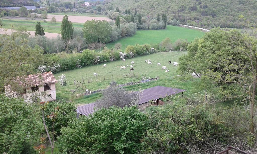 Agriturismo Cardito Santa Rufina Zewnętrze zdjęcie