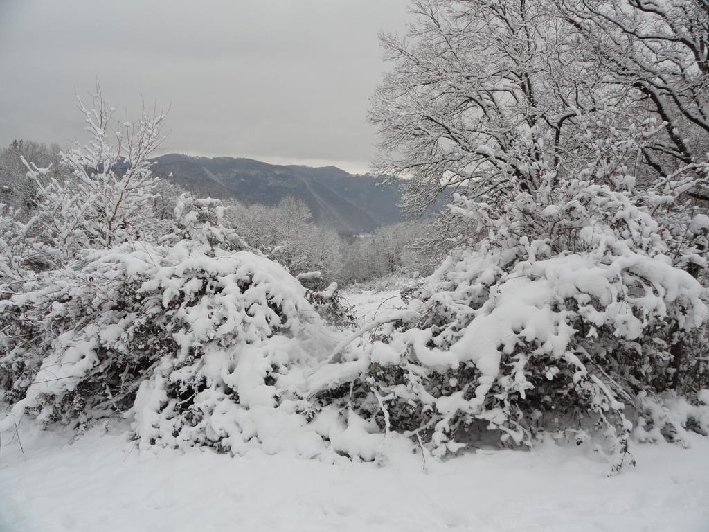 Agriturismo Cardito Santa Rufina Zewnętrze zdjęcie