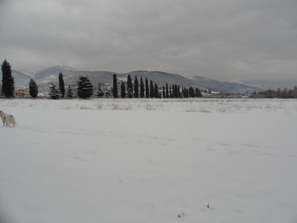 Agriturismo Cardito Santa Rufina Zewnętrze zdjęcie